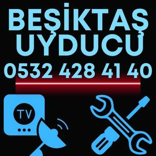 Beşiktaş uydu servisi çanak anten tamircisi